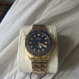 Gevril Hudson yards diver